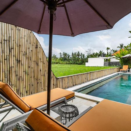 Villa Hatchi By Balisuperhost Ubud Exteriér fotografie
